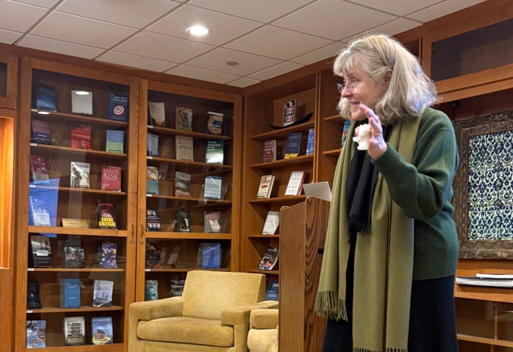 Alice Sindzingre presenting at "Asymmetry as a Perpetual Pattern?"